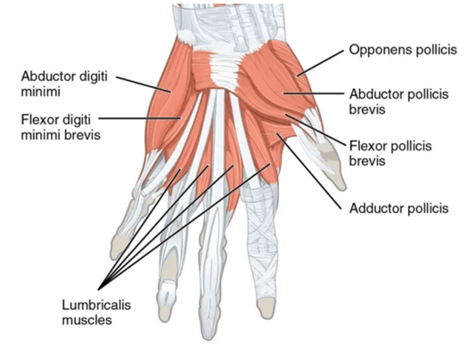 Andrew Bowdle - 10.12.25 - Fig. 1