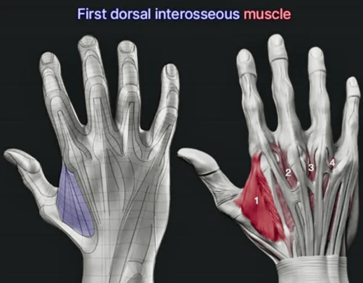 Andrew Bowdle - 10.12.25 - Fig. 2