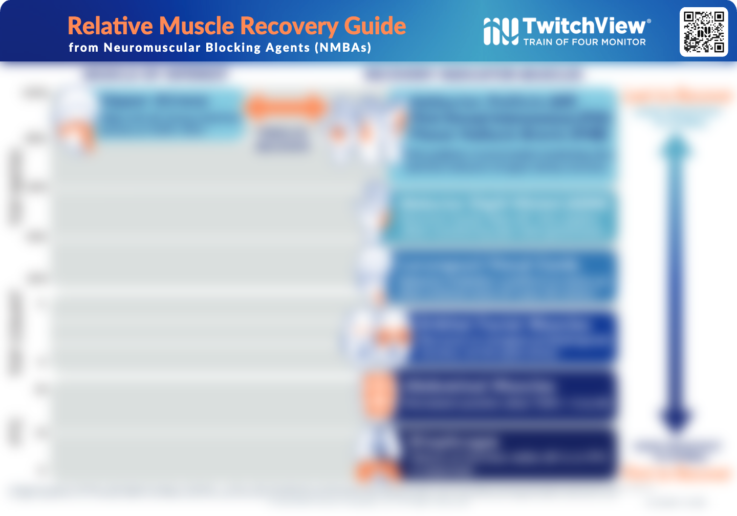 Download relative muscle recovery guide