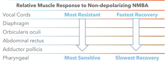 Relative Muscle Recovery Chart