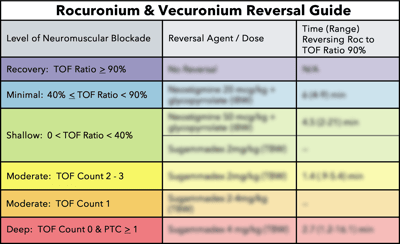 Decision Support Reversal Guide for Neuromuscular Blockade