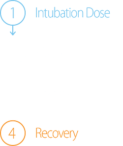 TwitchView Trend Key TwitchView Trend Key