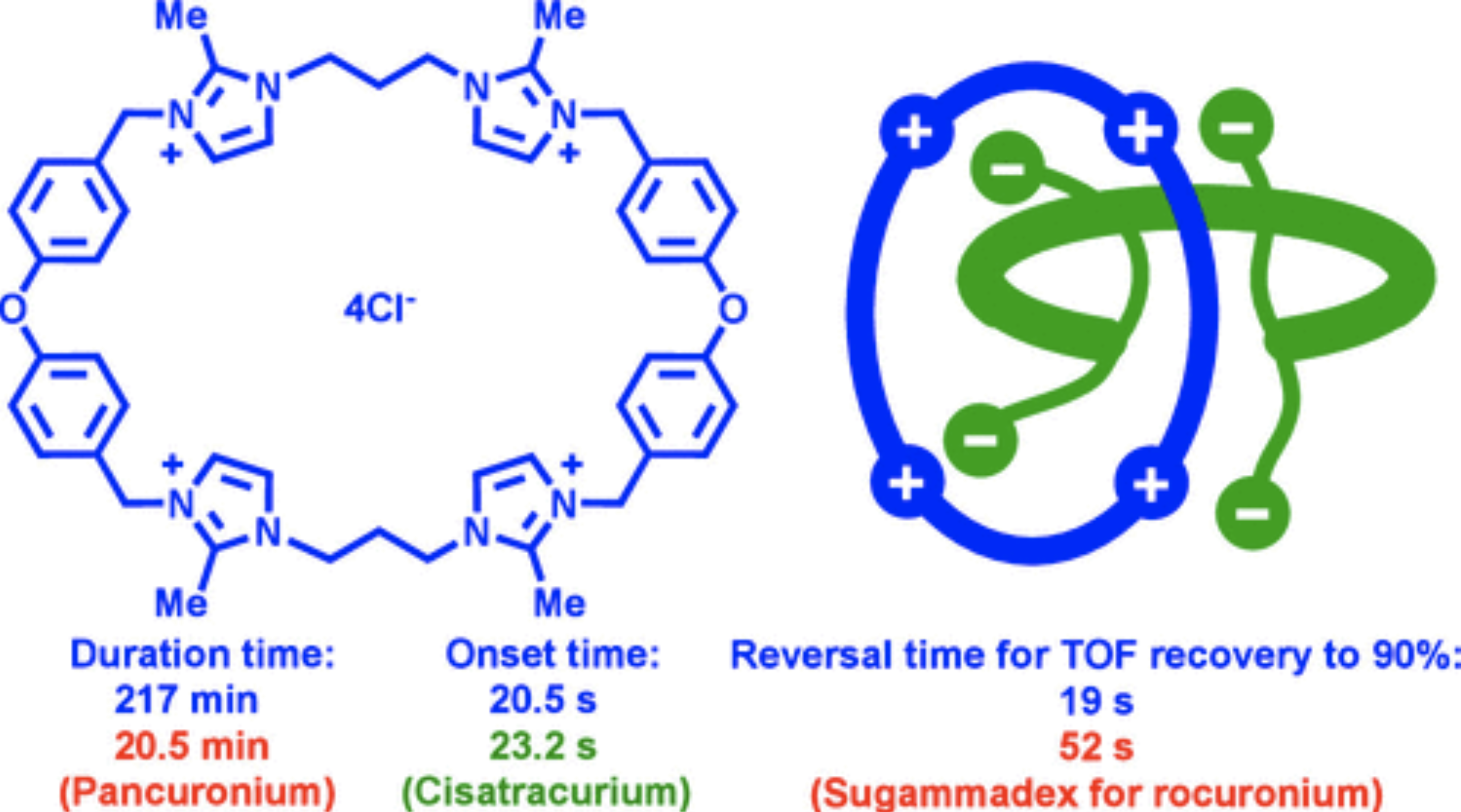 Myths, Missteps, and Momentum: What 2025 Taught Us About Neuromuscular Monitoring