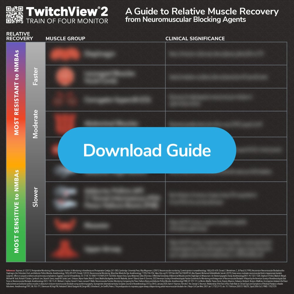 A Guide to Muscle Recovery from Neuromuscular Blocking Agents