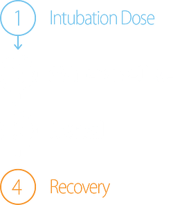 TwitchView Trend Key TwitchView Trend Key